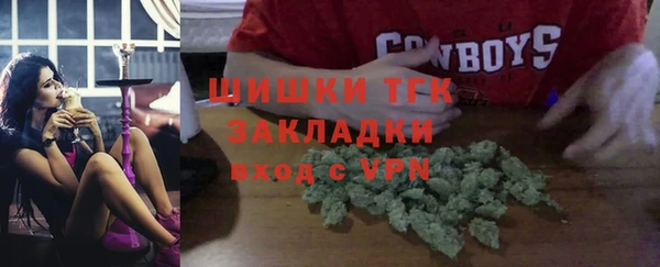 шишки Верхний Тагил