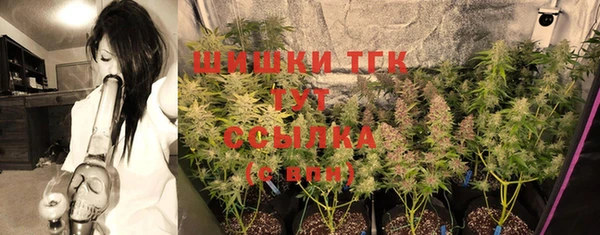 шишки Верхний Тагил
