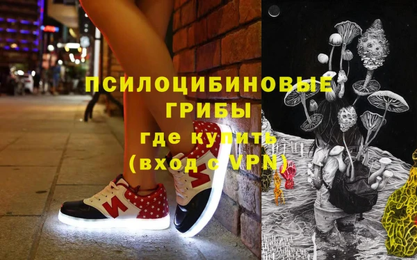 шишки Верхний Тагил