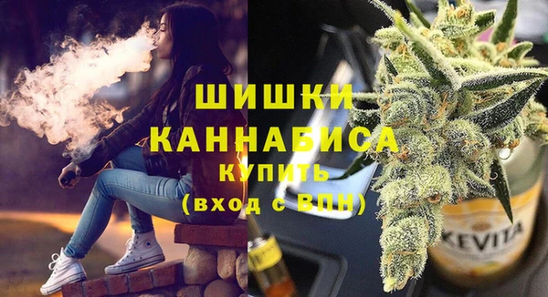 шишки Верхний Тагил