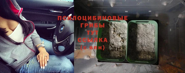 шишки Верхний Тагил