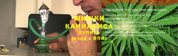 шишки Верхний Тагил